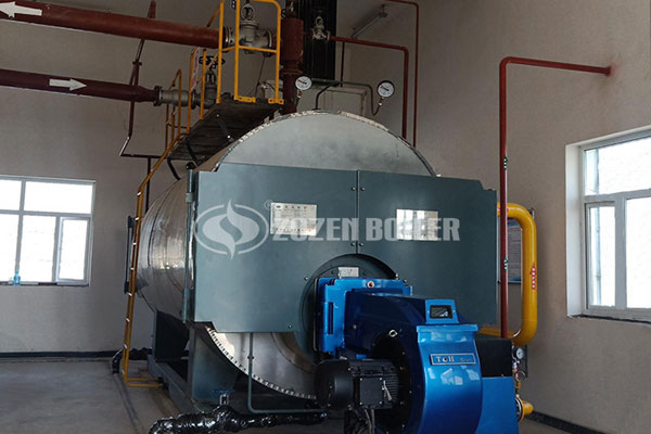Global Gas fired hot water boiler
