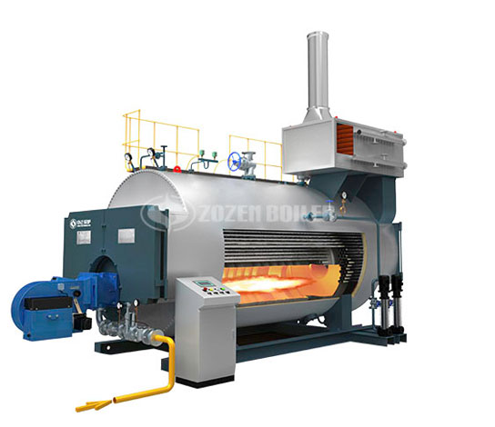 WNS Series Gas Fired Hot Water Boiler