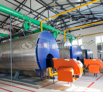 7MW WNS gas fired hot water boiler project