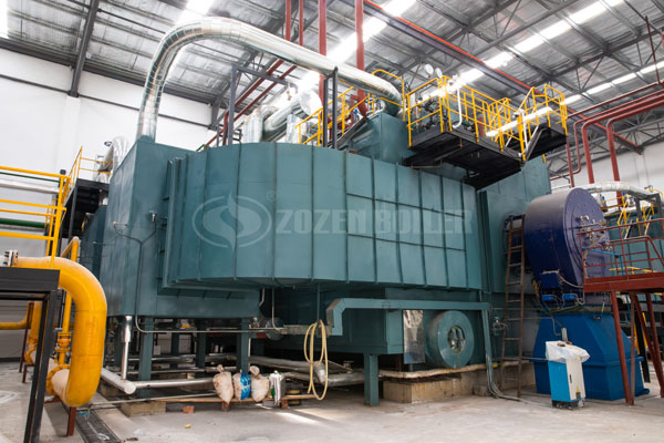 Differences between WNS and SZS Type Oil-fired Gas Boilers