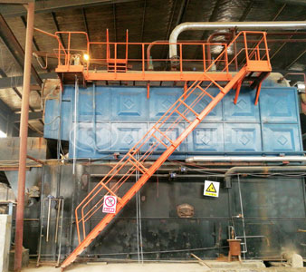 12 tph DZL biomass steam boiler project