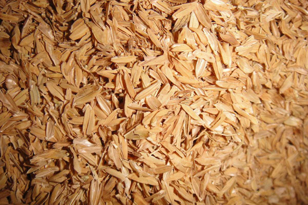 Composition and Combustion Characteristics of Biomass Rice Husk