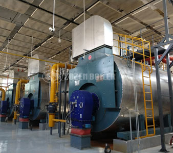 10Tons WNS Series Condensing Gas Steam Boiler Project