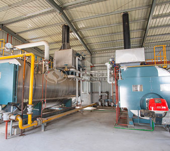 10 tph WNS condensing gas fired steam boiler project