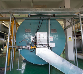 8.2 MW gas fired thermal fluid heater project