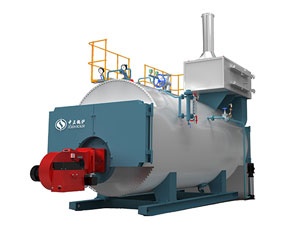 Gas Fired Boiler